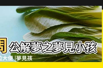 【夢見孩子拉大便是怎麼回事啊】周公解夢之夢見小孩子拉大便 |夢見孩子拉屎 |夢見孩子的大便 |