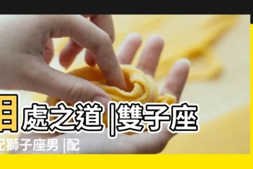 【獅子座男跟雙子座女的配對指數】相處之道 |雙子座女配獅子座男 |配對指數 |