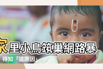 【家裏有小鳥築巢】家裏小鳥築巢網路暴動！得知「這原因」全嗨翻：賺翻了