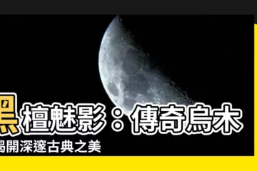 【烏木】黑檀魅影：傳奇烏木，揭開深邃古典之美