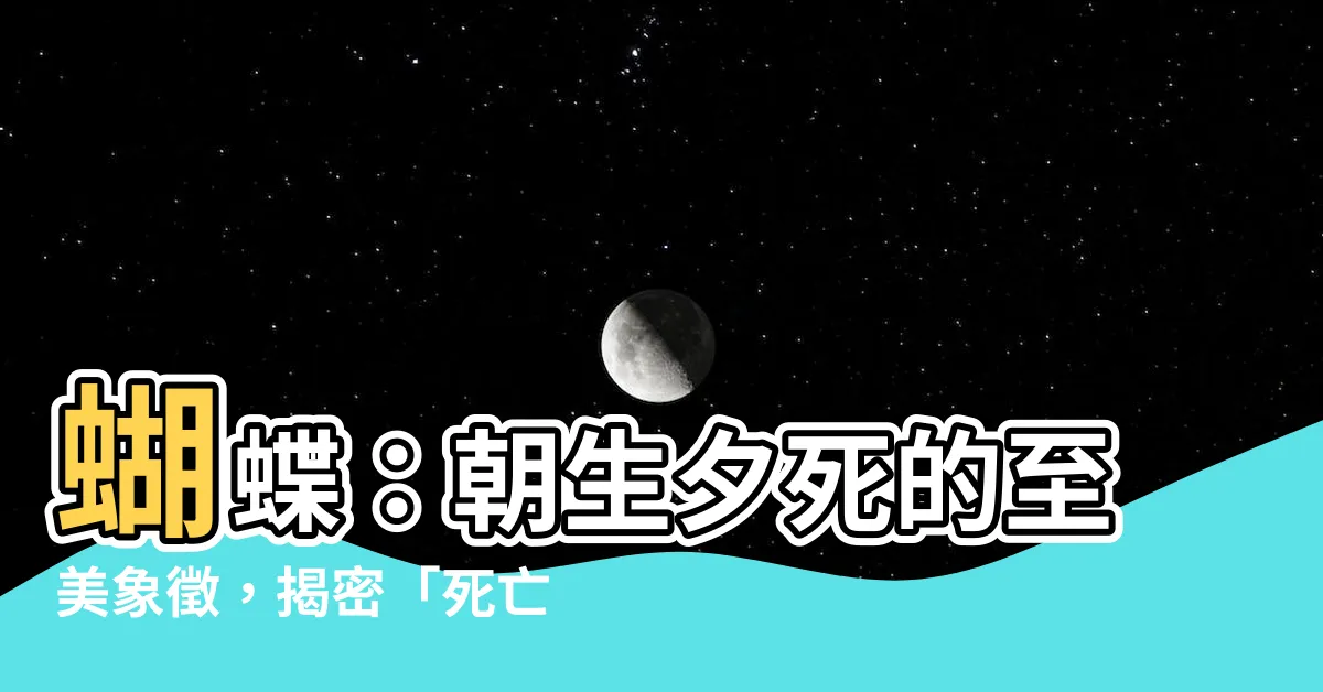 【蝴蝶象徵死亡】蝴蝶：朝生夕死的至美象徵，揭密「死亡」背後的深意！