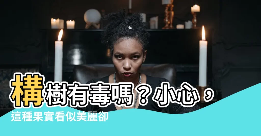 【構樹有毒嗎】構樹有毒嗎？小心，這種果實看似美麗卻全身是「刺」？