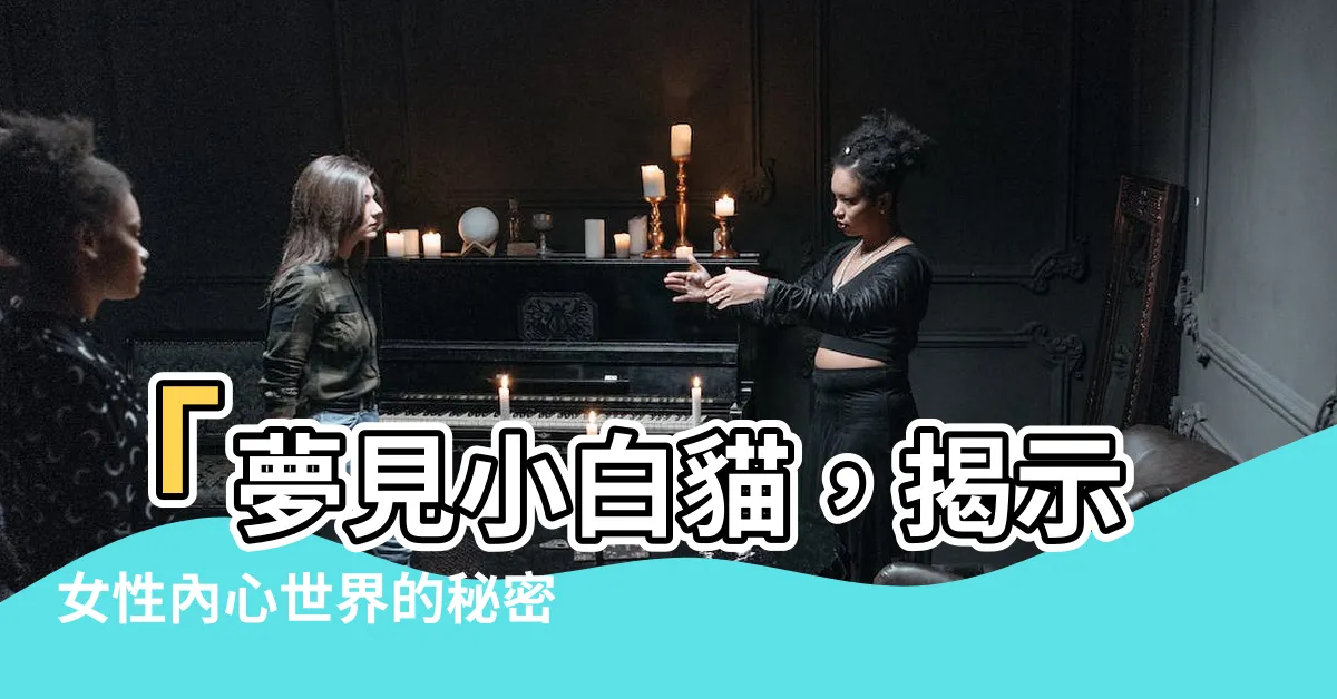 【夢見小白貓】「夢見小白貓，揭示女性內心世界的秘密！」