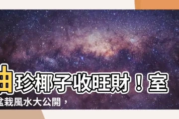 【袖珍椰子 風水】袖珍椰子收旺財！室內盆栽風水大公開，居家擺放位置助你財運亨通