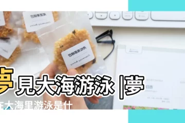 【女人夢見大海里游泳】夢見大海游泳 |夢見在大海里游泳是什麼意思 |女人夢見在大海里游泳是什麼意思 |