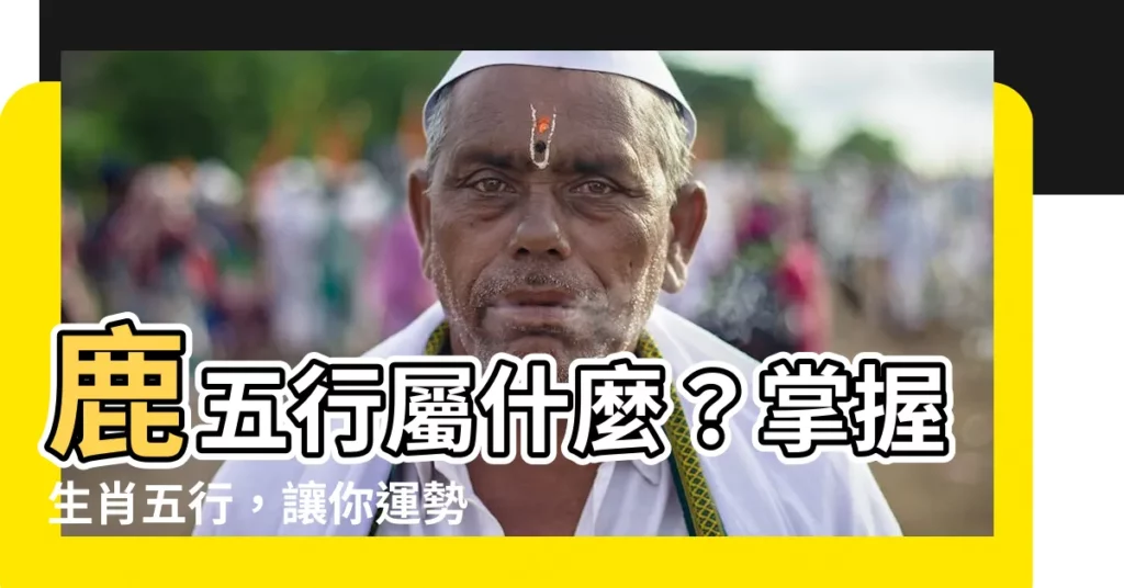 【鹿五行屬什麼】鹿五行屬什麼？掌握生肖五行，讓你運勢亨通！