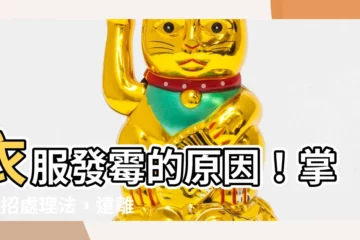 【衣服發黴原因】衣服發黴的原因！掌握4招處理法，遠離惱人黴菌