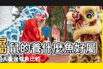 【屬鼠的女生紋魚】屬鼠的養什麼魚好屬鼠的人養幾條魚比較好 |屬鼠的紋身紋什麼好 |屬鼠的人紋身紋魚好不好 |
