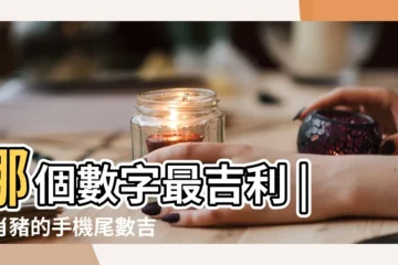【屬豬四月生的人手機號碼什麼吉】哪個數字最吉利 |生肖豬的手機尾數吉祥手機號推薦 |生肖豬你的手機號碼是吉祥號碼 |