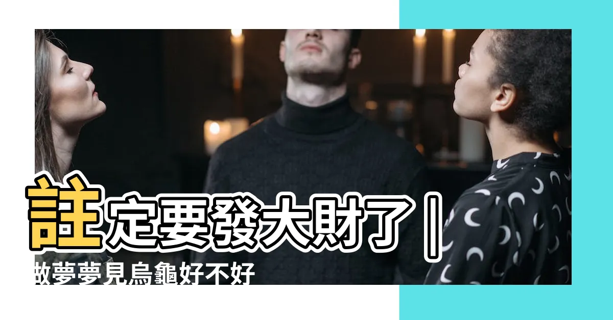 【夢見 烏龜】註定要發大財了 |做夢夢見烏龜好不好 |夢見烏龜做夢夢到是什麼意思會怎麼樣好不好 |