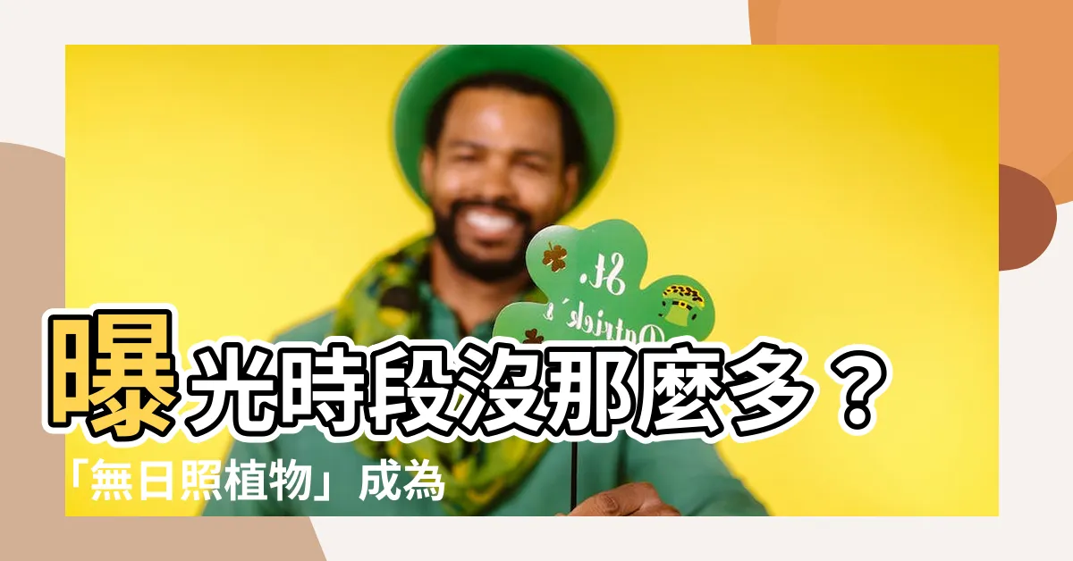 【無日照植物】曝光時段沒那麼多？「無日照植物」成為都市人新寵