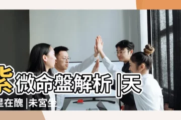 【天府在未擎羊火星】紫微命盤解析 |天府星在醜 |未宮坐守命宮 |
