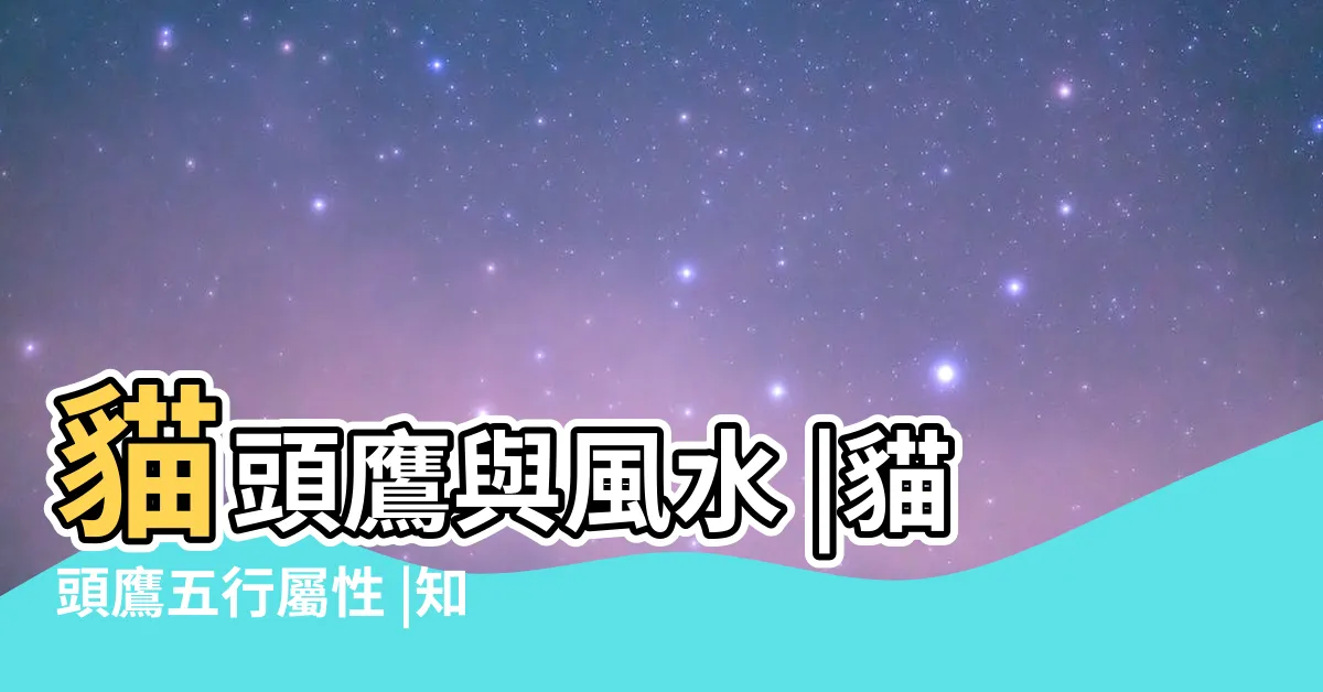 【貓頭鷹五行】貓頭鷹與風水 |貓頭鷹五行屬性 |知道什麼寵物適合自己嗎 |