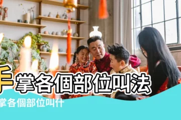 【手相手掌各個部位叫什麼】手掌各個部位叫法 |手掌各個部位叫什麼 |