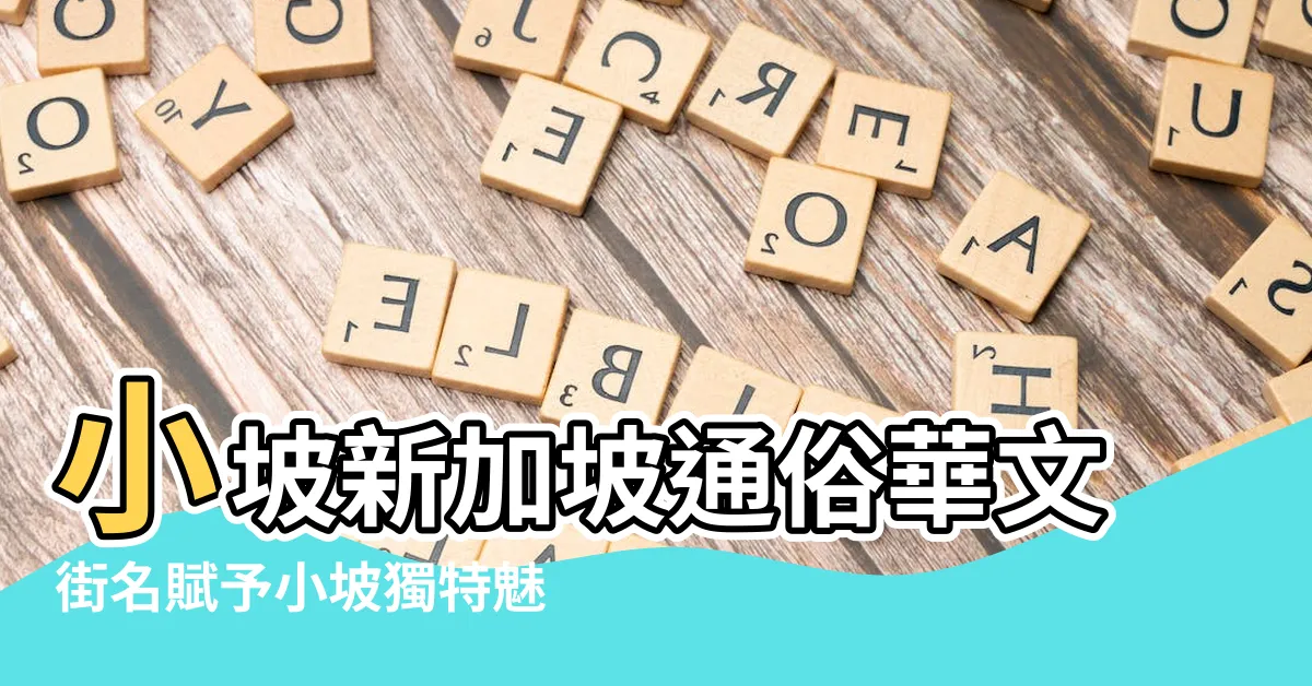 【小坡】小坡新加坡通俗華文街名賦予小坡獨特魅力的秘密