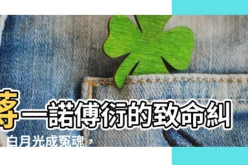 【蔣一諾 傅衍】蔣一諾傅衍的致命糾葛：白月光成冤魂，監獄成歸宿？