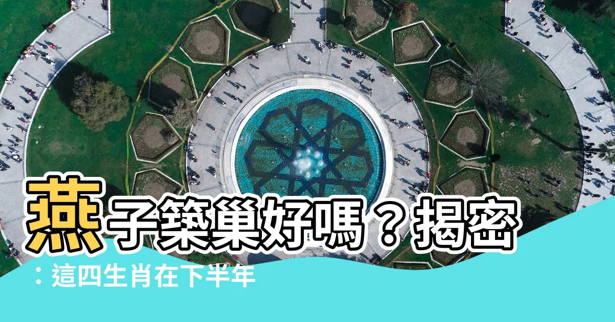 【燕子築巢好嗎】燕子築巢好嗎？揭密：這四生肖在下半年一飛沖天！