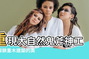 【重木】重現大自然鬼斧神工！解鎖重木建築的奧秘