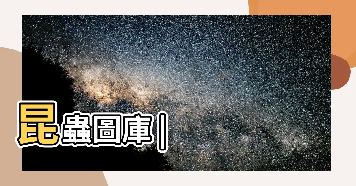 【蟬】昆蟲圖庫 |