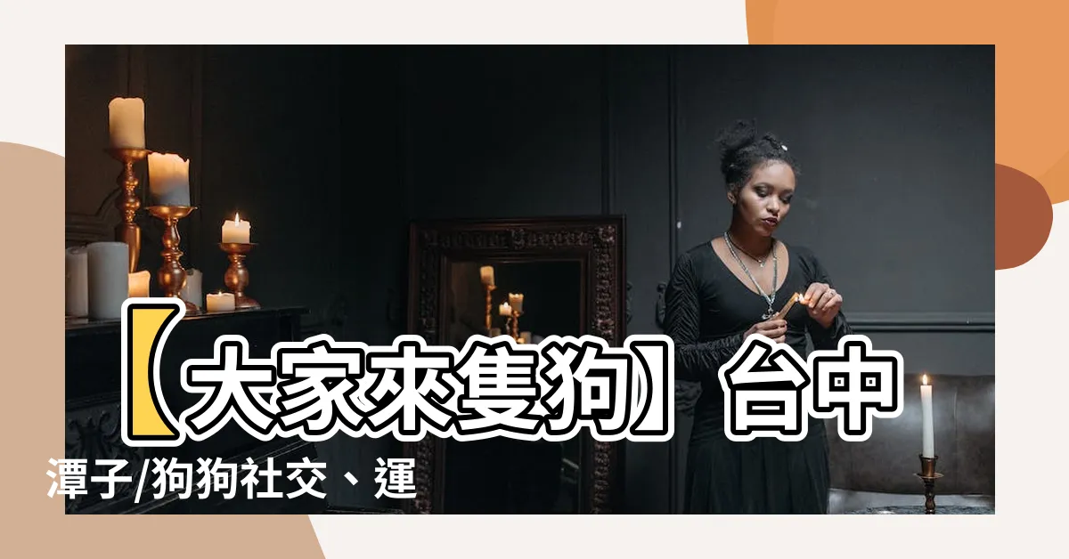 【來隻狗】【大家來隻狗】台中潭子/狗狗社交、運動、聚餐