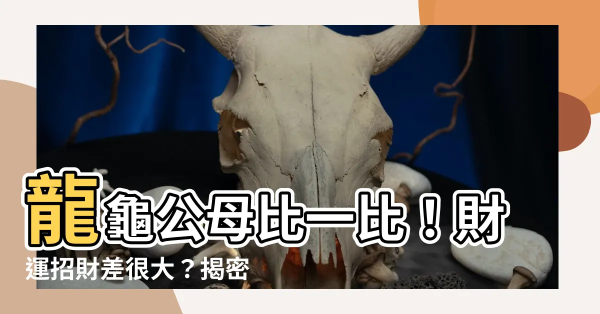 【龍龜公母】龍龜公母比一比！財運招財差很大？揭密傳奇神獸的迷思
