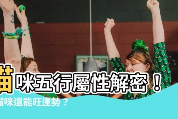 【貓屬性】貓咪五行屬性解密！養貓咪還能旺運勢？