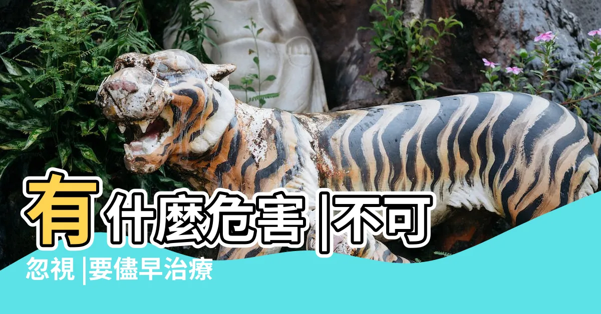 【地包天 意思】有什麼危害 |不可忽視 |要儘早治療 |