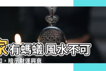 【家有螞蟻 風水】家有螞蟻 風水不可不知，暗示財運興衰與人際關係