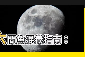 【六間魚混養】六間魚混養指南：