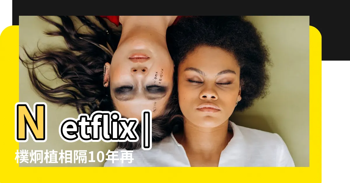 【大植】Netflix |樸炯植相隔10年再合體 |輕鬆綠化居家佈置 |