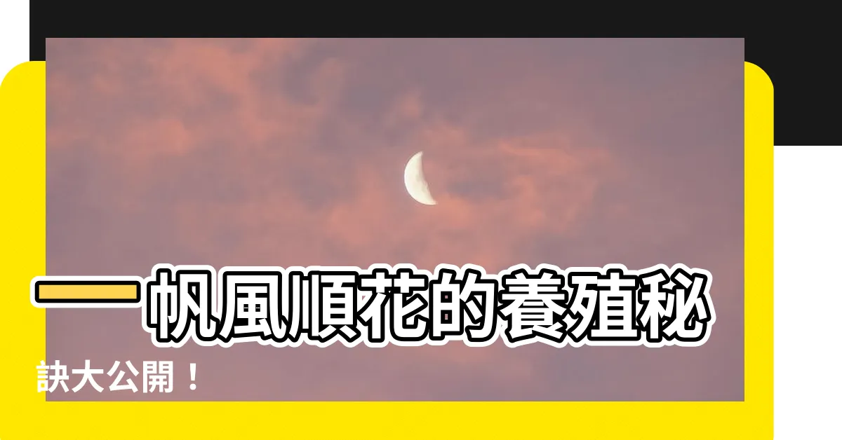【一帆風順花】一帆風順花的養殖秘訣大公開！
