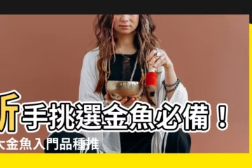 【金魚入門品種】新手挑選金魚必備！十大金魚入門品種推薦