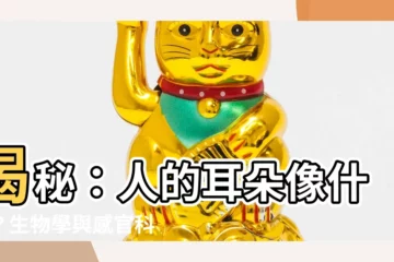 【人的耳朵像什麼】揭秘：人的耳朵像什麼？生物學與感官科學活動大公開！