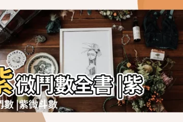 【紫微鬥數各翟】紫微鬥數全書 |紫微鬥數 |紫微斗數各星與三國演義中的人物對照 |