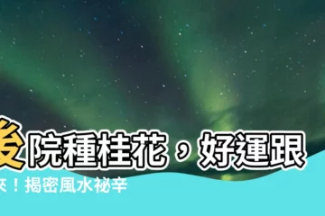 【後院種桂花】後院種桂花，好運跟著來！揭密風水秘辛和種植禁忌