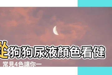 【狗狗尿液顏色】從狗狗尿液顏色看健康！常見4色讓你一秒看懂！