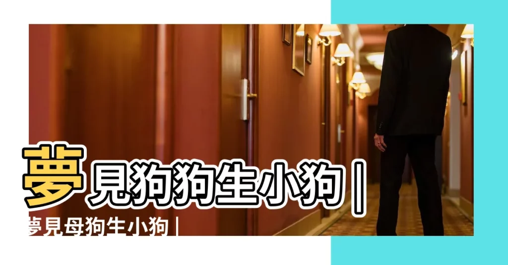 夢見狗狗生小狗 |夢見母狗生小狗 |夢見大狗生了很多小狗 |【夢見狗狗生9個小狗】