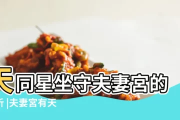 【夫妻宮天同天梁 再婚】天同星坐守夫妻宮的分析 |夫妻宮有天同星 |天同天梁在寅申守夫妻宮 |