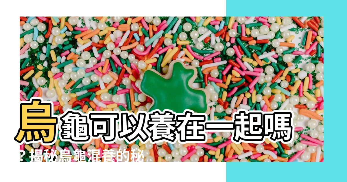 【烏龜可以養在一起嗎】烏龜可以養在一起嗎？揭秘烏龜混養的秘密！