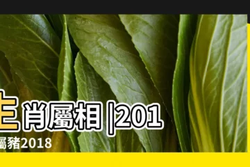 【屬豬2018年事業】生肖屬相 |2018 |屬豬2018年運勢及運程大師精準預測 |