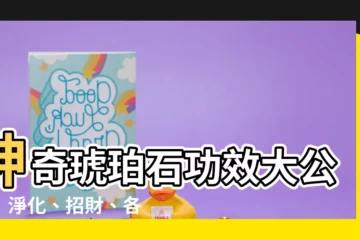 【琥珀石功效】神奇琥珀石功效大公開！淨化、招財、各色功效一次看