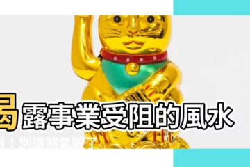 【風水有問題】揭露事業受阻的風水禍根！別讓煞氣毀了你的前途