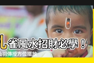 【孔雀風水】孔雀風水招財必學！七仙羽傳授方位擺放秘訣