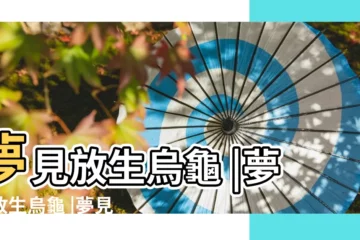【夢見放生一隻烏龜】夢見放生烏龜 |夢見放生烏龜 |夢見放生烏龜 |