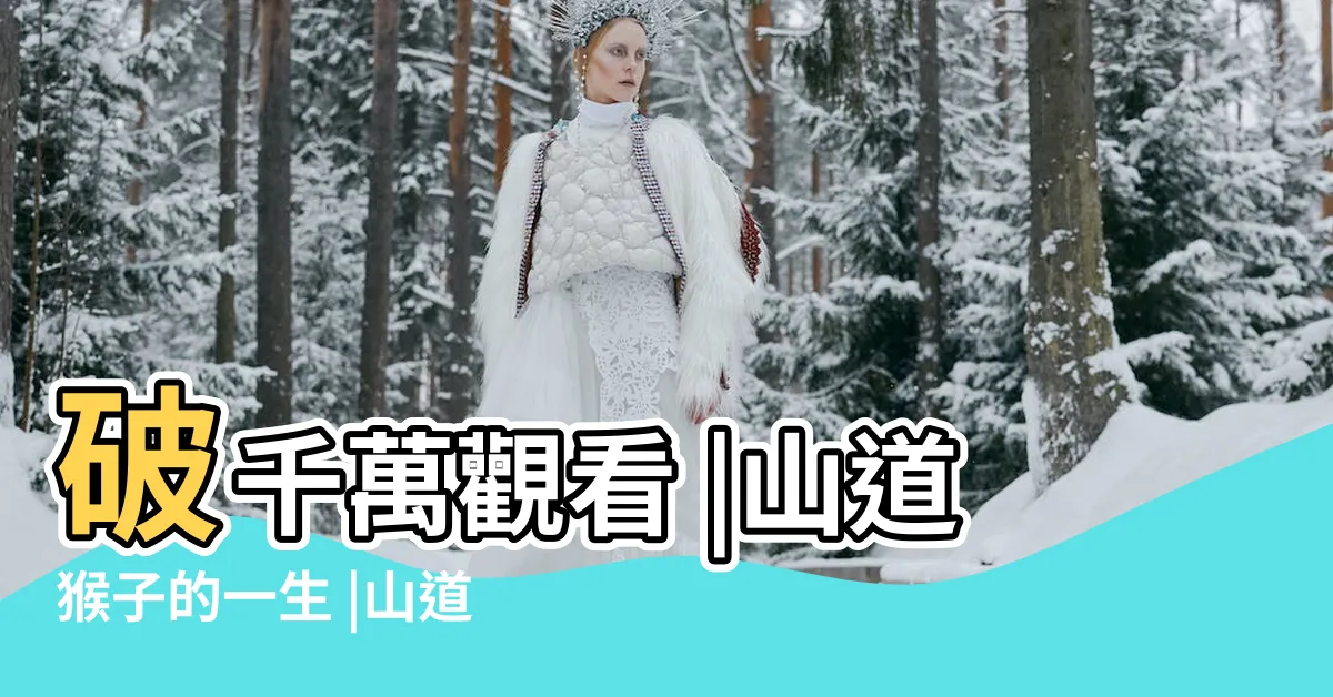 【猴的一生】破千萬觀看 |山道猴子的一生 |山道猴子的一生 |