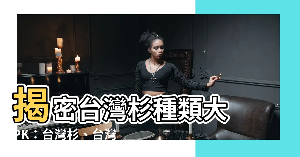 【杉種類】揭密台灣杉種類大 PK：台灣杉、台灣雲杉、台灣冷杉深入解剖