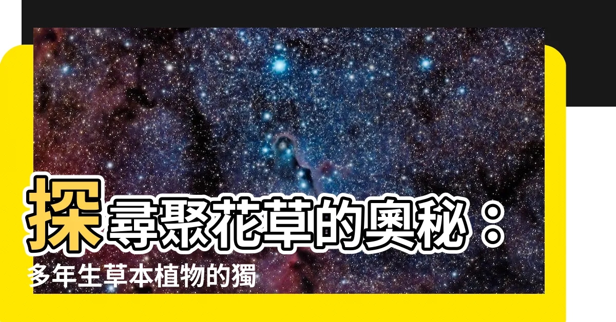 【聚花草】探尋聚花草的奧秘：多年生草本植物的獨特魅力