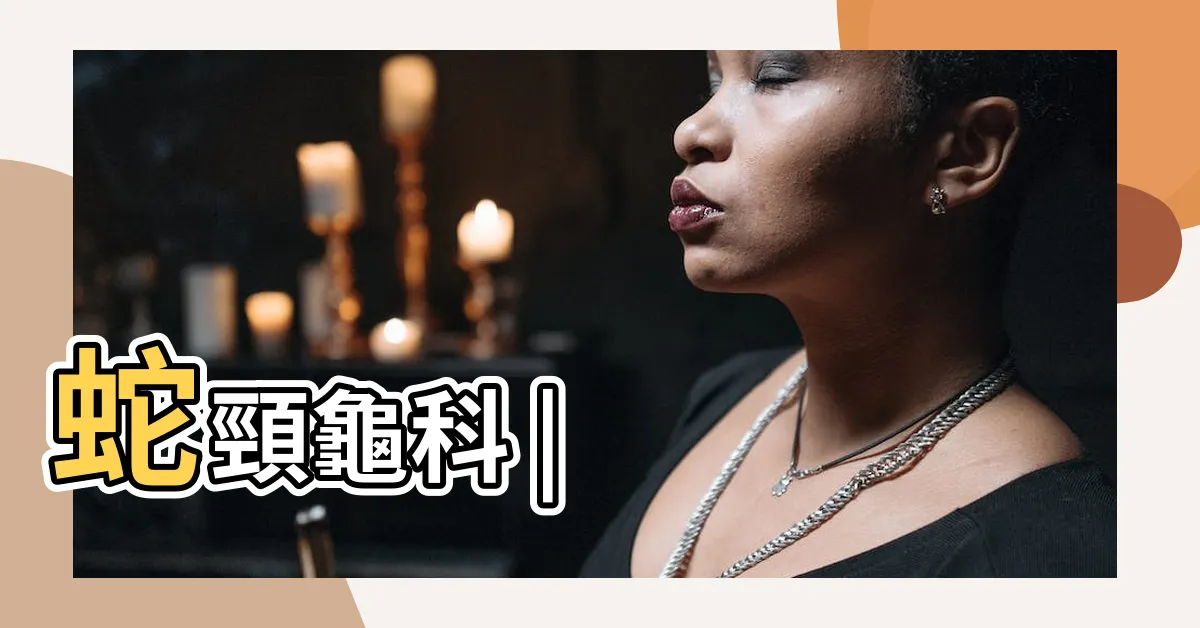 【蛇頭龜】蛇頸龜科 |