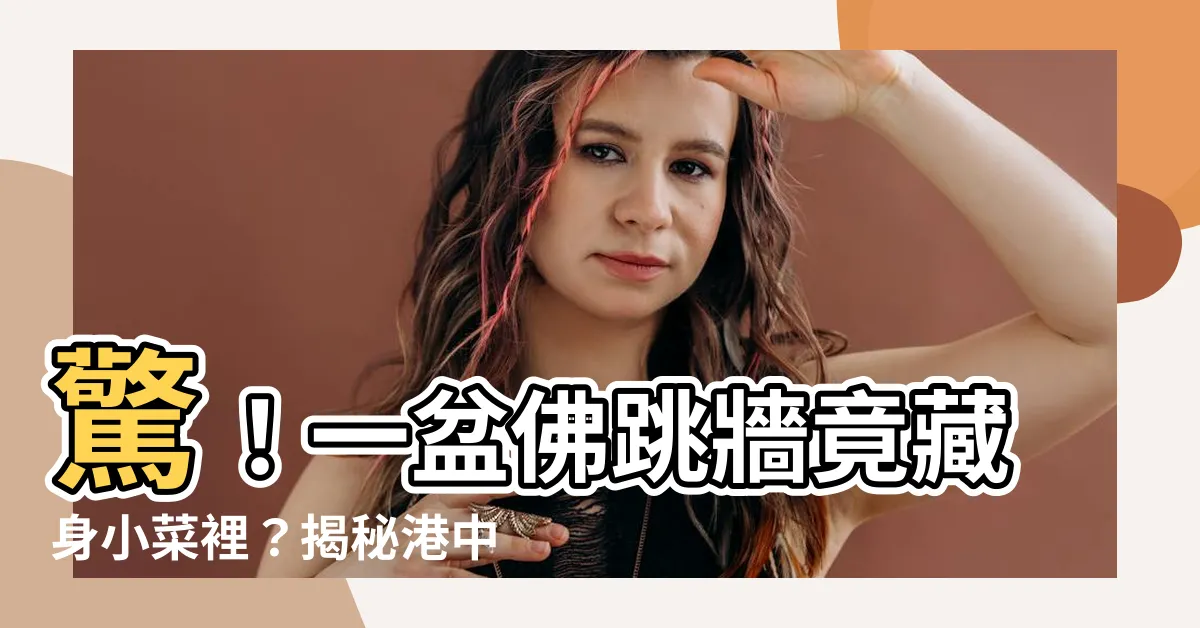【一盆】驚！一盆佛跳牆竟藏身小菜裡？揭秘港中文的神奇美食文化