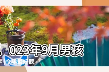 【最好聽男孩名字大全集】2023年9月男孩名字 |今年最好聽的男孩名字大全 |1200個好聽的男孩名字大全 |